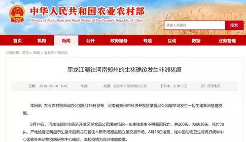 盐城周一爆料最新消息,周一突发大事件，详情即将揭晓！