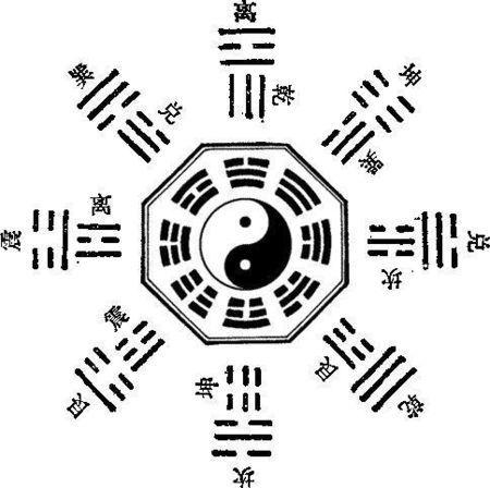 每日阴阳八卦爆料最新,最新神秘爆料大揭秘